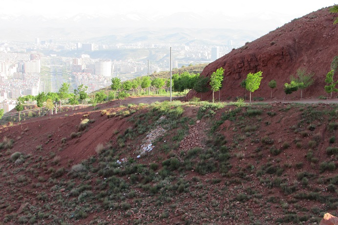 	کار دشوار مراقبت از شهر